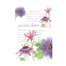 L'etichetta presenta un'illustrazione con vivaci fiori della passione in tonalità di viola e rosso su uno sfondo bianco, accompagnati da un testo descrittivo sulla fragranza e dettagli sulle dimensioni. Il nome del prodotto "Passion Flower - Busta Grande" è ben visibile.