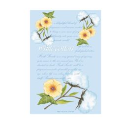 Un'etichetta azzurra decorata con fiori gialli e illustrazioni in cotone bianco avvolge elegantemente la descrizione di una fragranza chiamata "White Cotton - Busta Grande". I dettagli sottolineano profumi invitanti che catturano i sensi. Il volume netto &egrave; di 7,0 fl. oz. (115 ml).