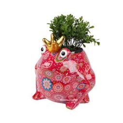 Rana Porta Piantina Rossa - Pomme Pidou