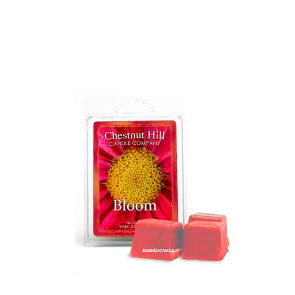 Bloom Chestnut Hill - Tart