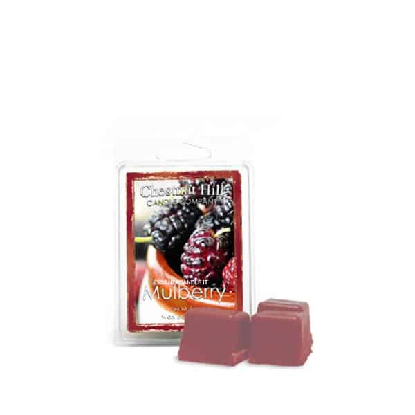 Mulberry Chestnut Hill - Tart