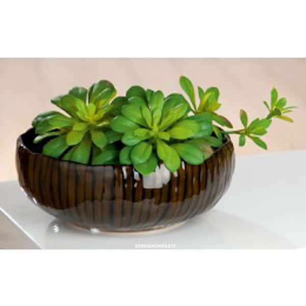 Ciotola “Tigre” Centro Tavola Ciotola