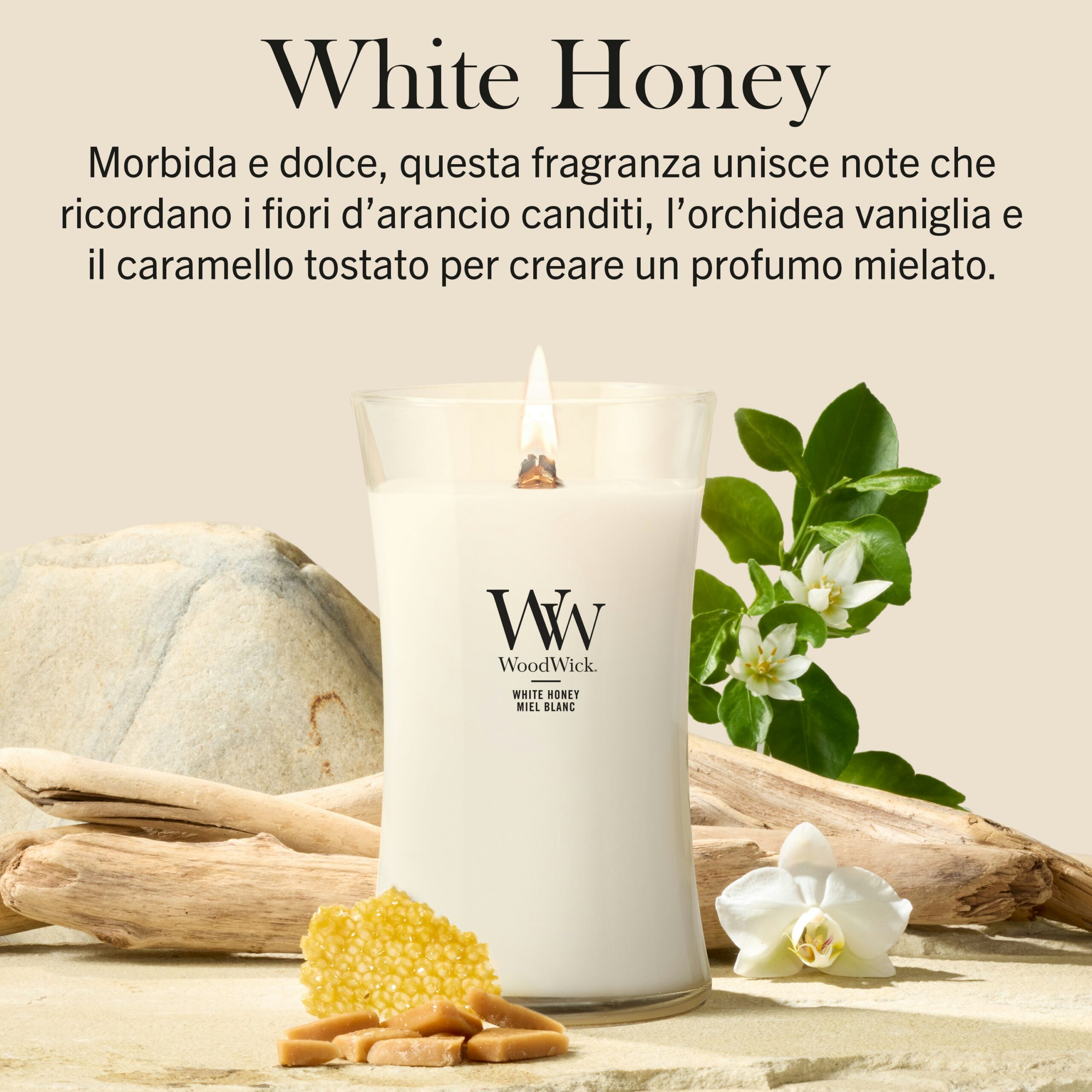 White Honey Woodwick – Candela Grande Giara Grande Una candela “White Honey Woodwick - Candela Grande” accesa, contenuta in un portacandela di vetro, poggia su una superficie beige, circondata da favi, mandorle, fiori bianchi e foglie verdi. Questa candela invitante riempie l’aria di note cremose di miele e delicate note floreali, mentre sopra di essa è riportata una descrizione della fragranza.