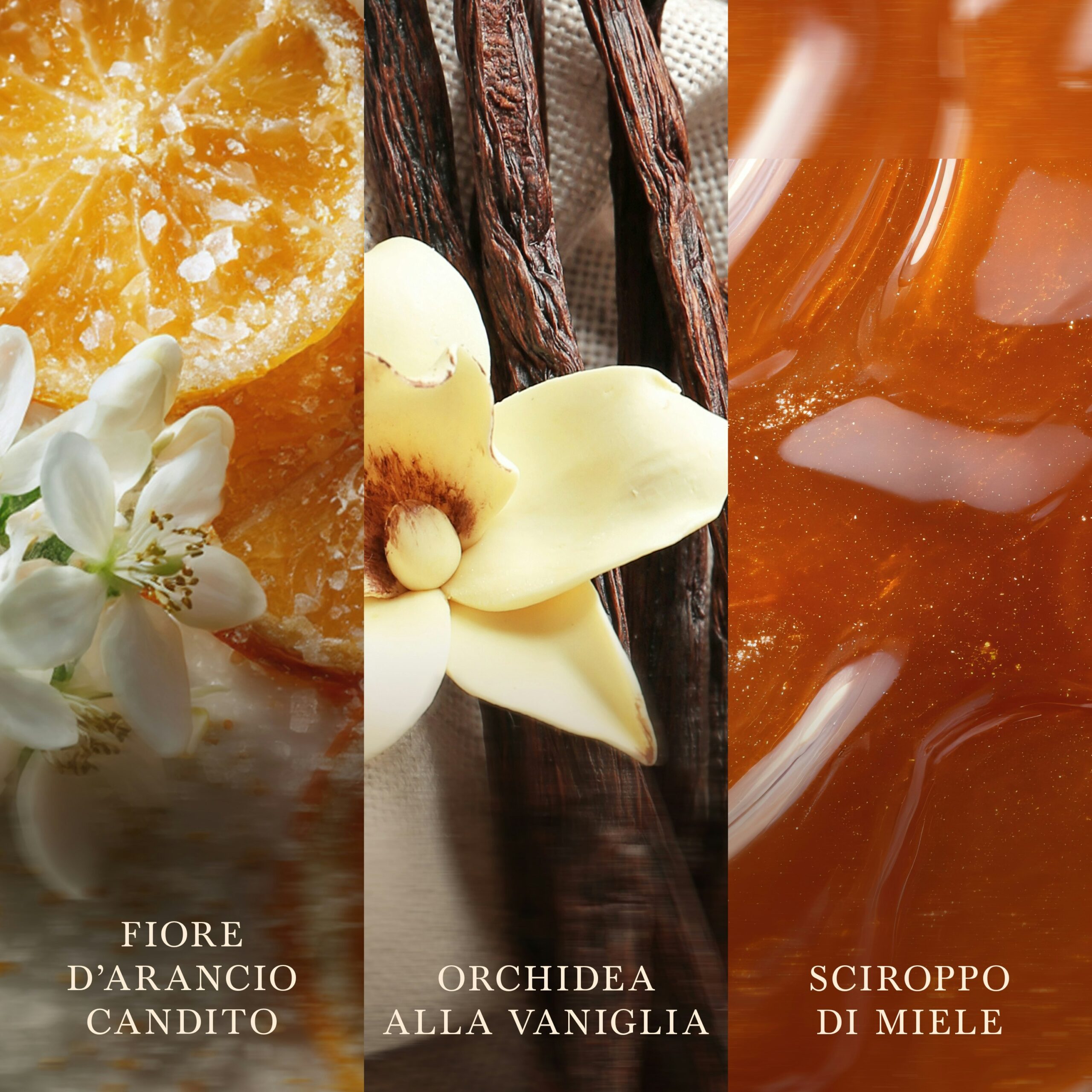 White Honey Woodwick – Candela Grande Giara Grande 2 Primo piano di fette d'arancia candite con fiori, fiori di orchidea alla vaniglia con baccelli e sciroppo lucido al miele bianco. Il testo in italiano recita: “Fiore d’arancio candito, orchidea alla vaniglia, sciroppo di miele” e mette in risalto le note olfattive di White Honey Woodwick - Candela Grande.