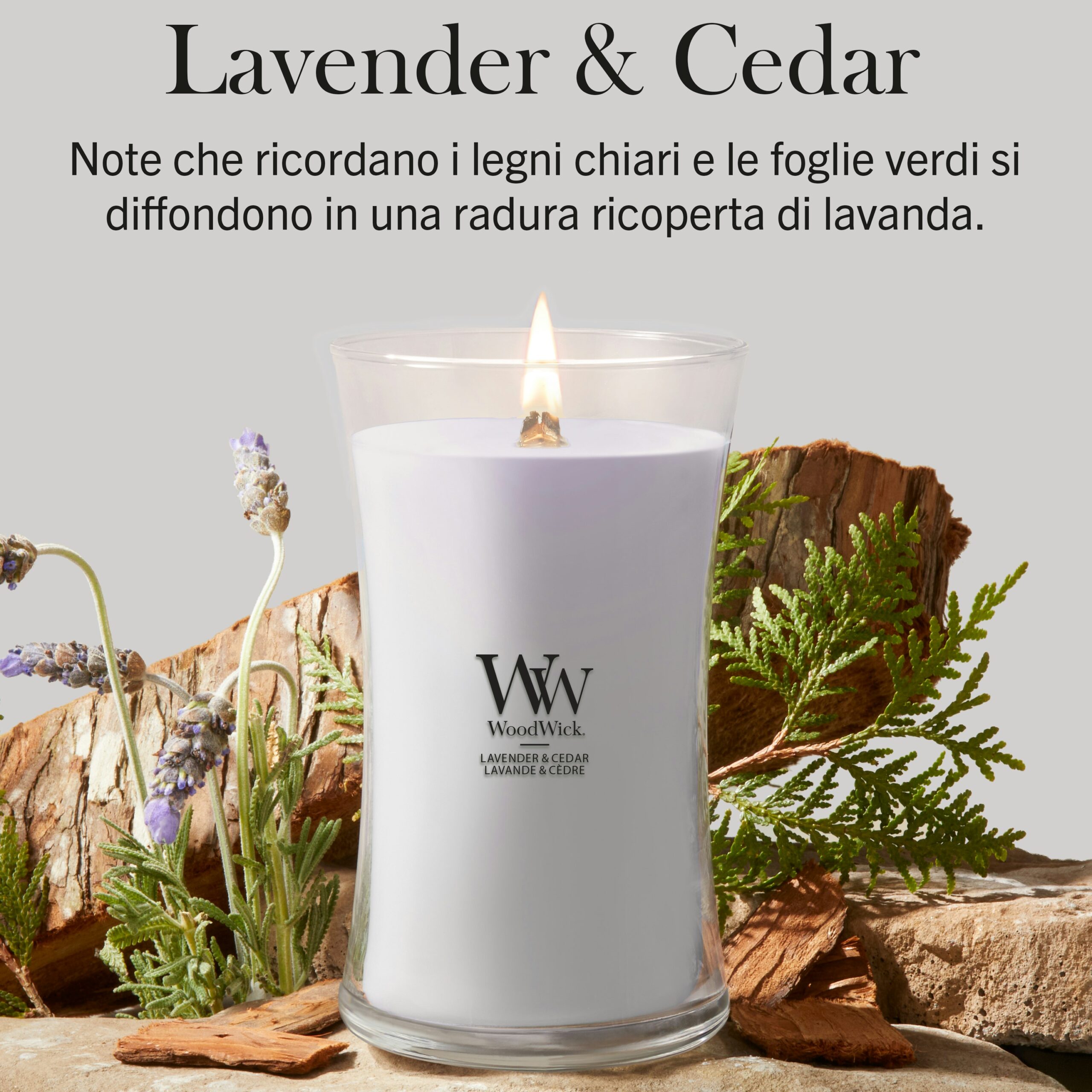 Lavender and Cedar Woodwick – Candela Grande Giara Grande Una candela “Lavanda e Cedro” della linea Woodwick - Candela Grande, con cera color lavanda in un barattolo di vetro, poggia su una superficie di legno circondata da rametti di lavanda e foglie verdi. Il testo in italiano sopra descrive la sua fragranza come “Lavanda e Cedro”.