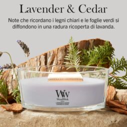 Una candela “Lavender and Cedar Woodwick” della linea Candela Ellipse, caratterizzata da una tonalità lavanda e racchiusa in un contenitore ovale di vetro trasparente, poggia su una superficie di legno tra corteccia d’albero, foglie verdi e rametti di lavanda. Sopra di essa, un testo in italiano descrive la fragranza “Lavender & Cedar”.
