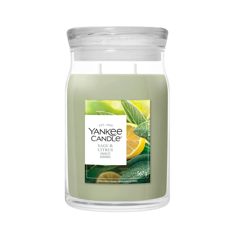 Sage & Citrus – Giara Grande – Yankee Candle 350 Punti La candela "Sage & Citrus - Giara Grande" di Yankee Candle è caratterizzata da una cera di colore verde chiaro contenuta in un grande barattolo di vetro, con foglie di salvia e agrumi raffigurati sull'etichetta.