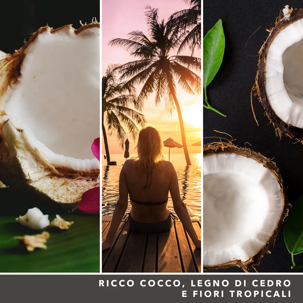 Black Coconut – Giara Grande – Yankee Candle Candele Yankee Candle 3 Black Coconut - Giara Grande - Yankee Candle - immagine 3