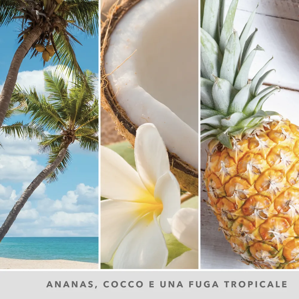 Coconut Beach – Giara Grande – Yankee Candle 350 Punti 3 Coconut Beach - Giara Grande - Yankee Candle - immagine 3