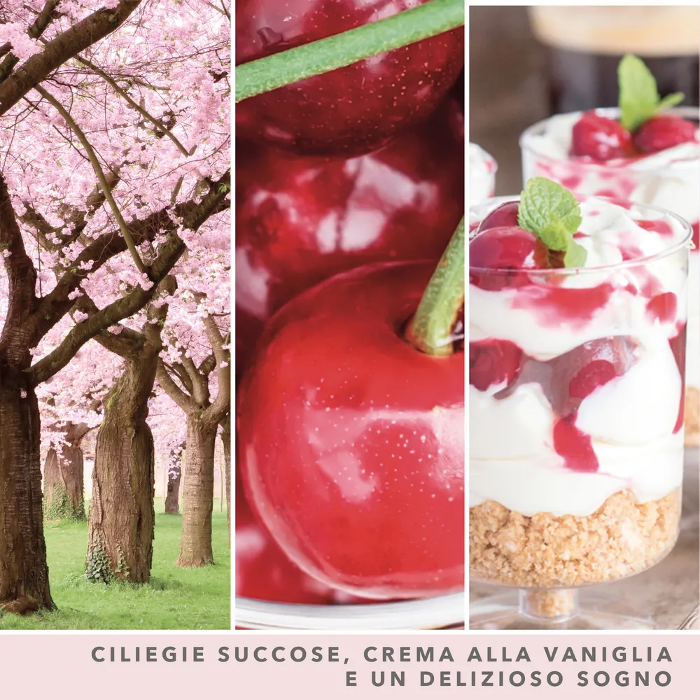 Pink Cherry & Vanilla – Giara Grande – Yankee Candle 350 Punti 3 Pink Cherry & Vanilla - Giara Grande - Yankee Candle - immagine 3
