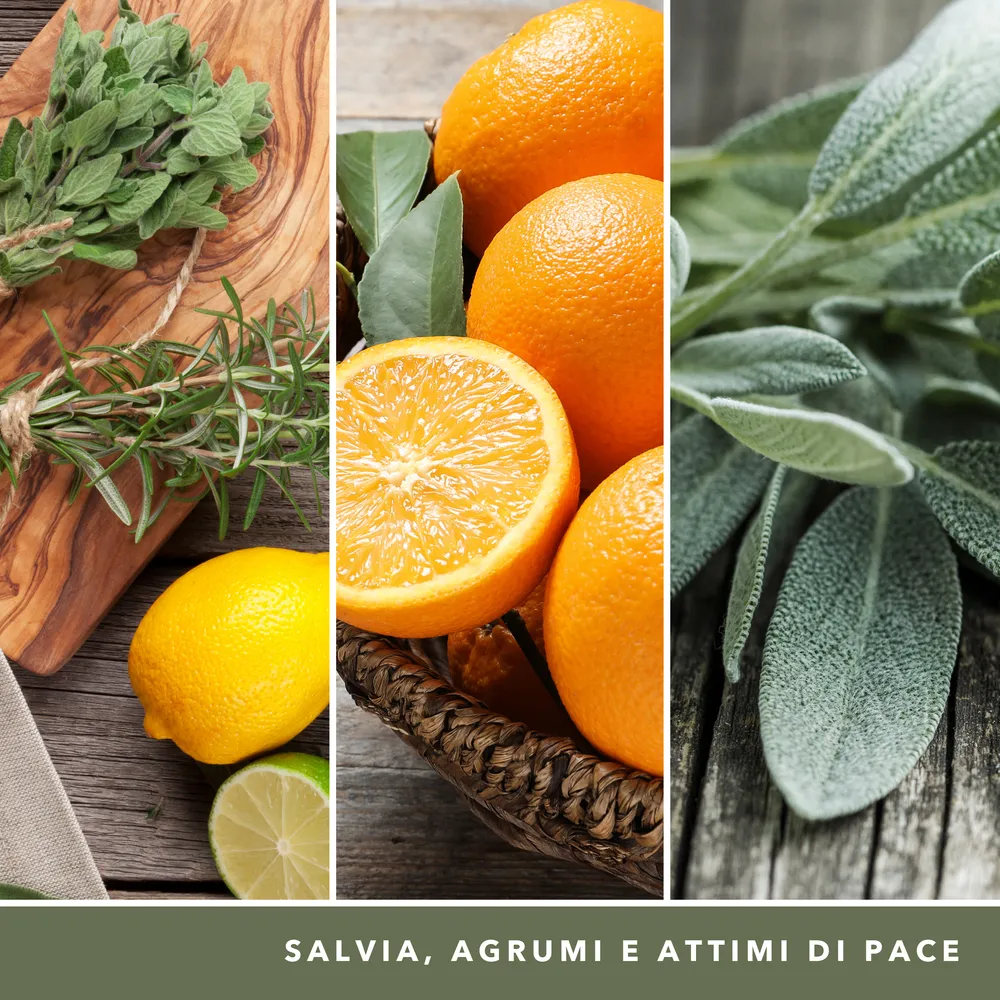 Sage & Citrus – Giara Grande – Yankee Candle 350 Punti 2 Sage & Citrus - Giara Grande - Yankee Candle - immagine 2