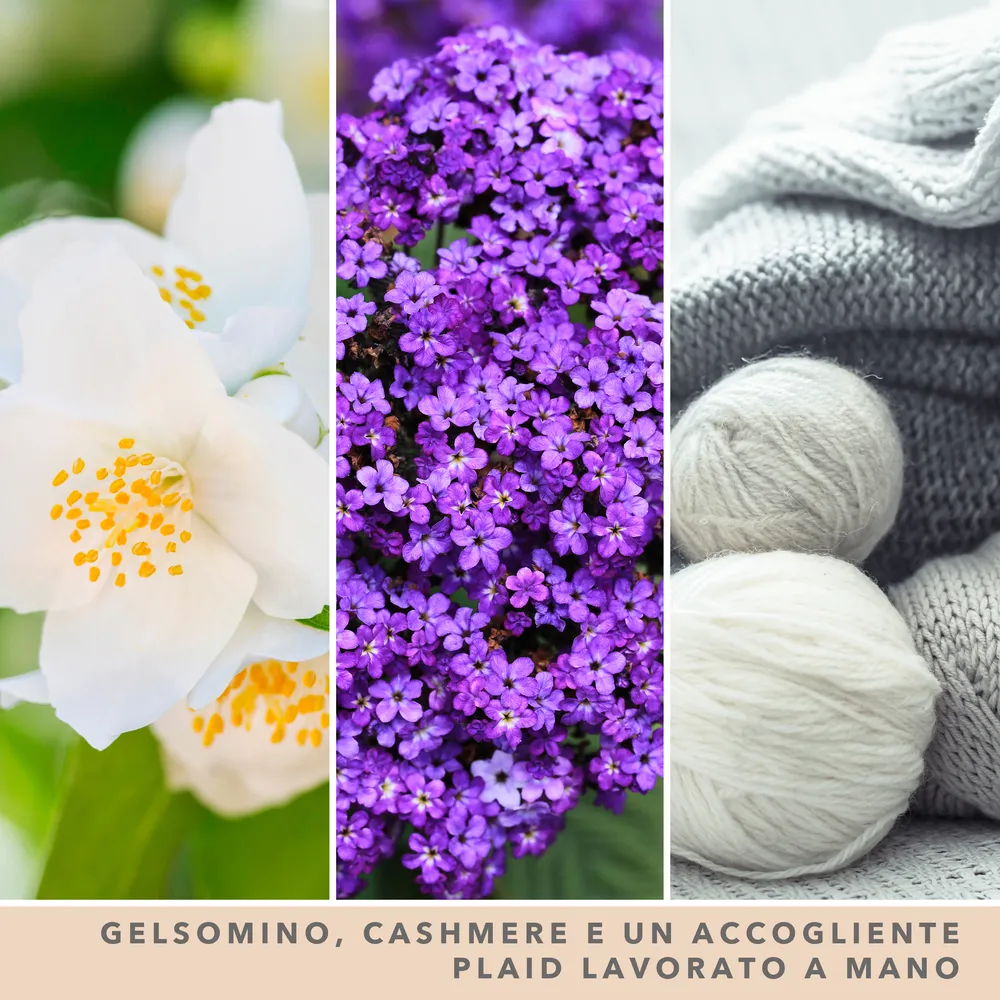 Soft Wool & Amber – Giara Grande – Yankee Candle Candele Yankee Candle 3 Soft Wool & Amber - Giara Grande - Yankee Candle - immagine 3