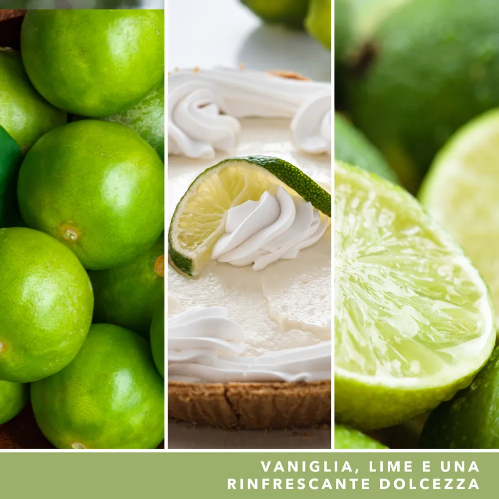 Vanilla Lime – Candela Grande – Yankee Candle 350 Punti 2 Vanilla Lime - Candela Grande - Yankee Candle - immagine 2