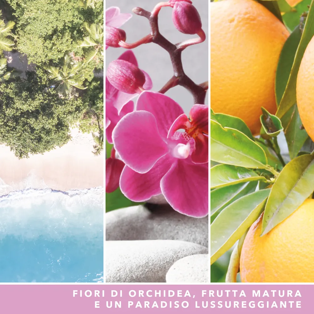 Wild Orchid – Giara Grande – Yankee Candle 350 Punti 2 Wild Orchid - Giara Grande - Yankee Candle - immagine 2