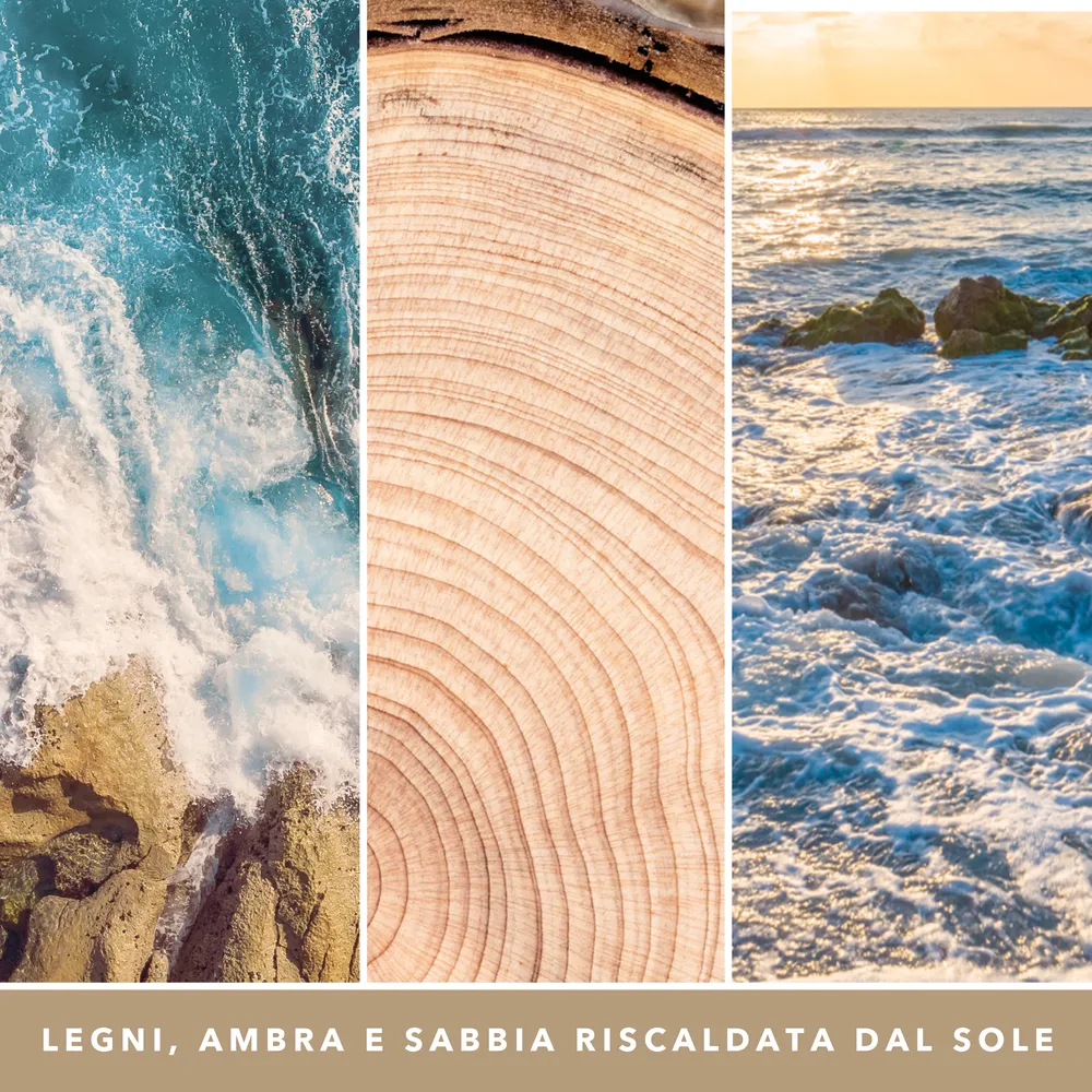 Amber & Sandalwood – Giara Grande – Yankee Candle 350 Punti 3 Amber & Sandalwood - Giara Grande - Yankee Candle - immagine 3