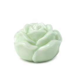 Candela rosa laccata verde - Hervit