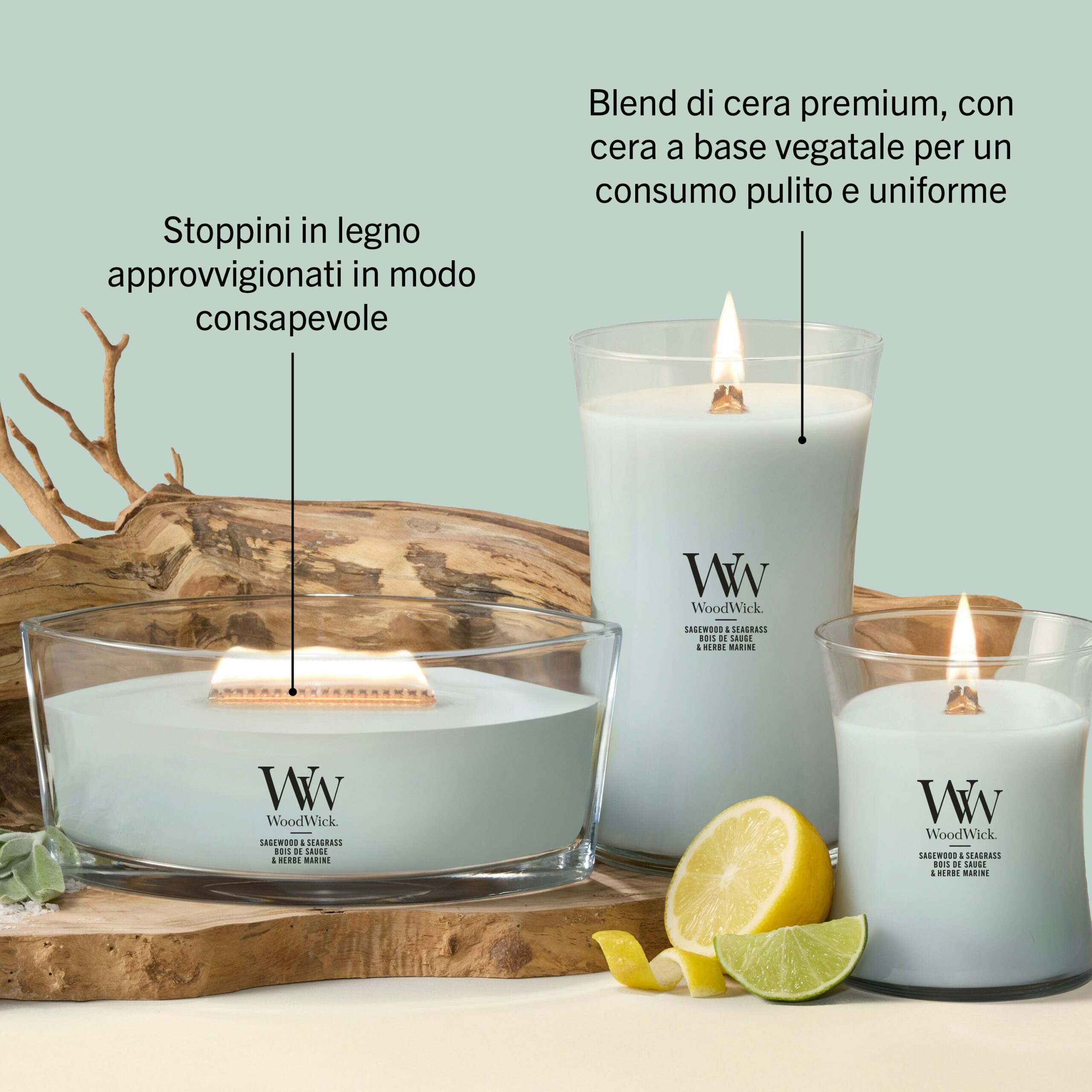 Sagewood & Seagrass – Candela Ellipse – WoodWick Ellipse 2 La candela WoodWick Sagewood & Seagrass Ellipse è esposta su una superficie beige accanto a un pezzo di legno galleggiante, un lime fresco e una fetta di limone. Il testo in italiano mette in risalto caratteristiche quali lo stoppino in legno e la sua miscela di cera di soia di alta qualità.
