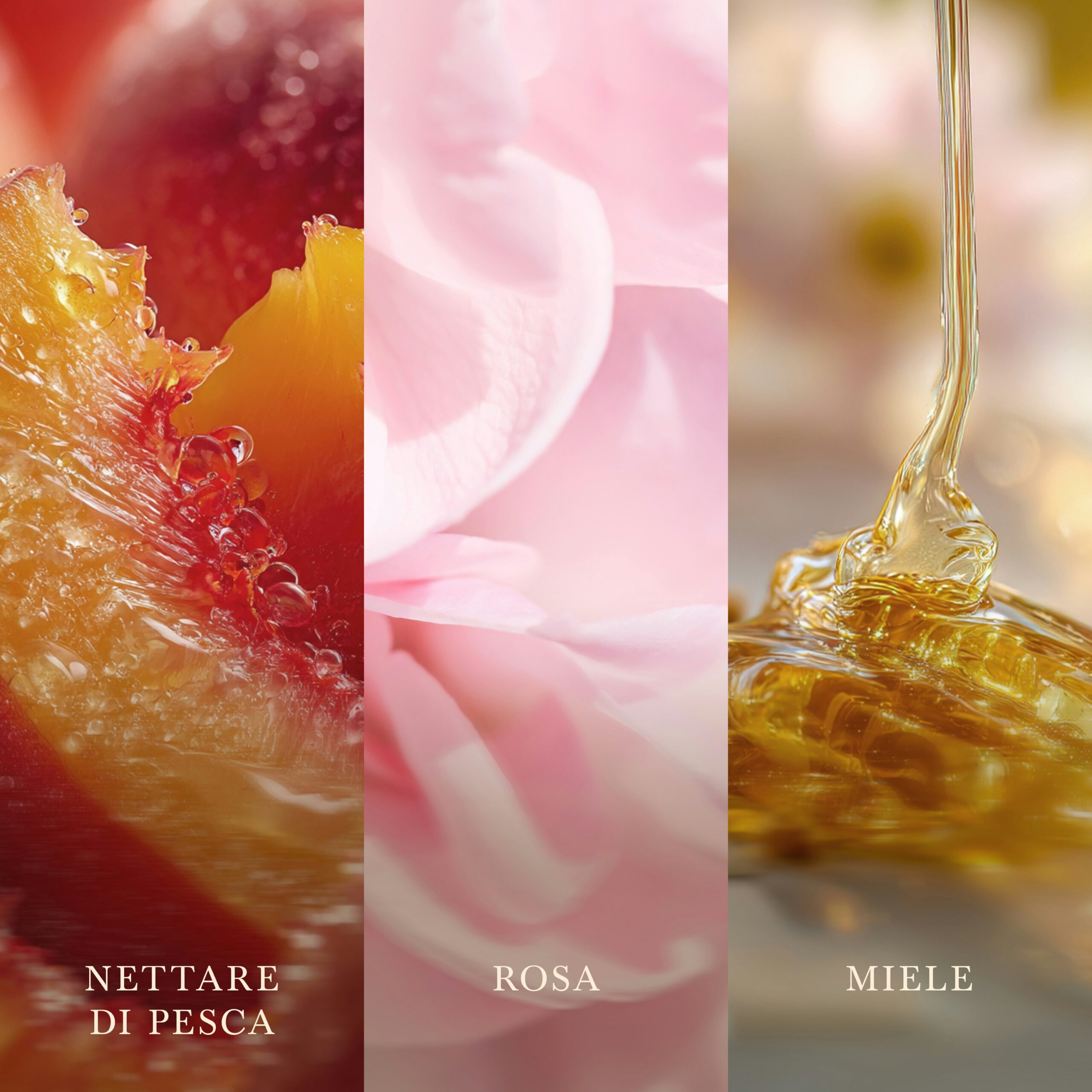 Manuka Nectar – Giara Media – Woodwick Giara media 3 Un trittico verticale mette in risalto un primo piano di una pesca matura, delicati petali di rosa in una tenue tonalità di rosa e un ricco miele dorato che viene versato a filo, ciascuno accompagnato da etichette italiane: “Nettare di Pesca”, “Rosa” e “Miele”. Ispirata alla candela Manuka Nectar - Giara Grande di WoodWick, questa scena mette in risalto come le note di nettare di Manuka arricchiscano l’elegante miscela di frutta, fiori e calore mielato.
