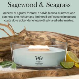 Una candela Sagewood & Seagrass - Candela Ellipse di WoodWick, contenuta in un recipiente di vetro, poggia su un pezzo di legno galleggiante tra fette di lime, salvia ed erba marina, catturando la fragranza ispirata all’oceano di Sagewood & Seagrass. Il testo di accompagnamento ne sottolinea le note rinfrescanti e l’atmosfera evocativa della costa.