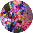 Jessica De Sanctis profile picture