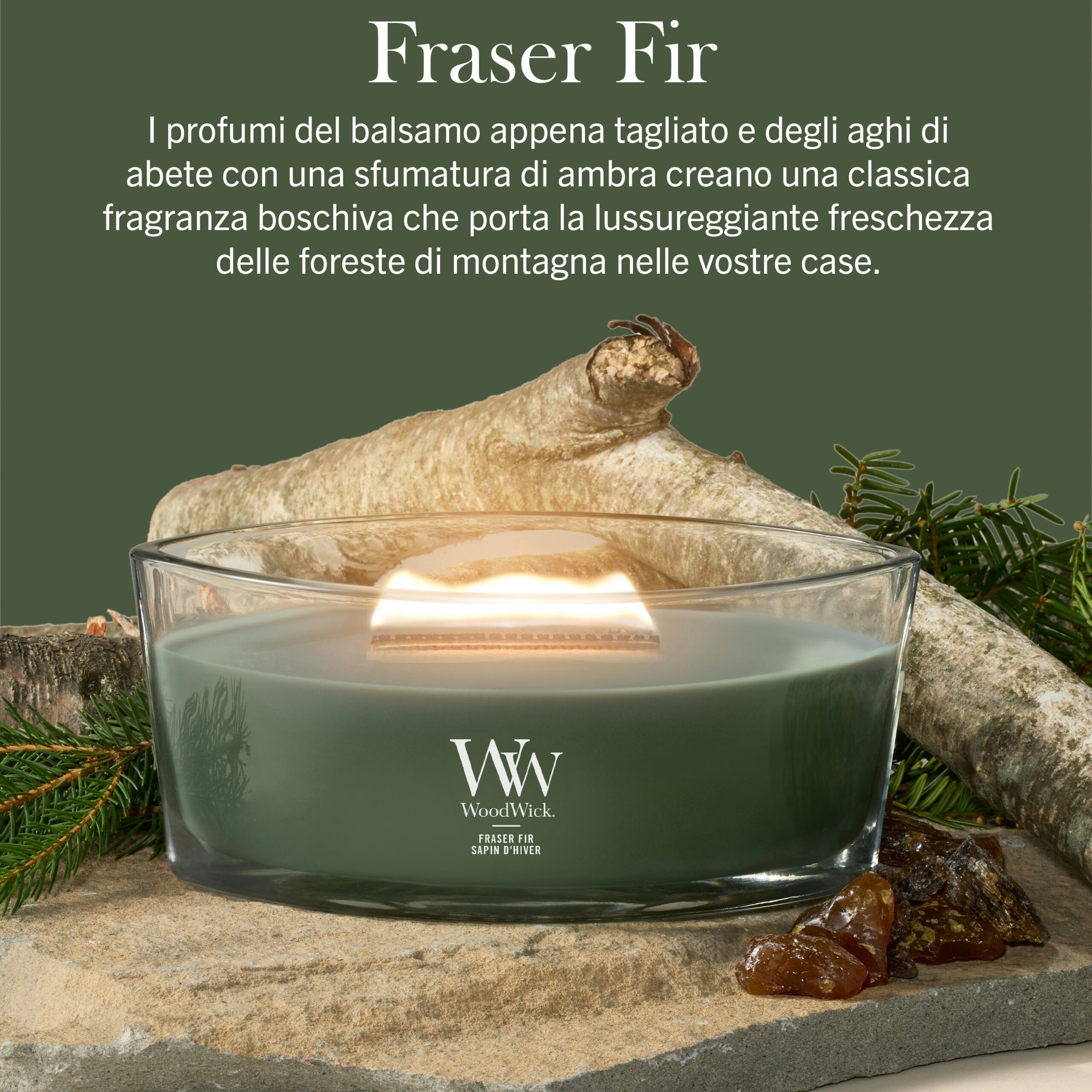 Frasier Fir – Ellipse – Woodwick Ellipse Una candela Frasier Fir - Ellipse - Woodwick di colore verde poggia su una superficie naturale con rami di pino, ambra e legno, accanto a un testo in italiano che ne descrive la fragranza fresca e legnosa, mentre la sua fiamma morbida tremola dolcemente.