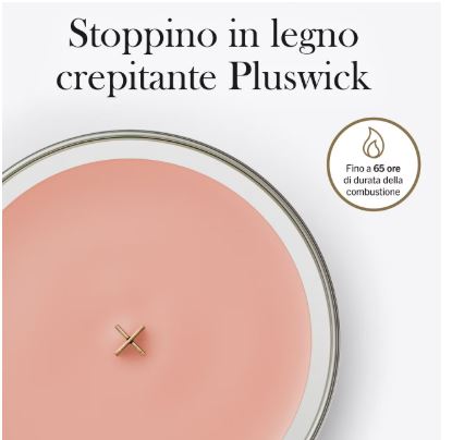 Manuka Nectar – Giara Media – Woodwick Giara media 5 Vista dall'alto della candela “Manuka Nectar - Giara Media - Woodwick”, caratterizzata da cera rosa e da uno stoppino Pluswick in legno all’interno di un contenitore in vetro. Il testo in italiano sopra evidenzia lo stoppino Pluswick che produce un leggero crepitio e una durata di combustione fino a 65 ore.