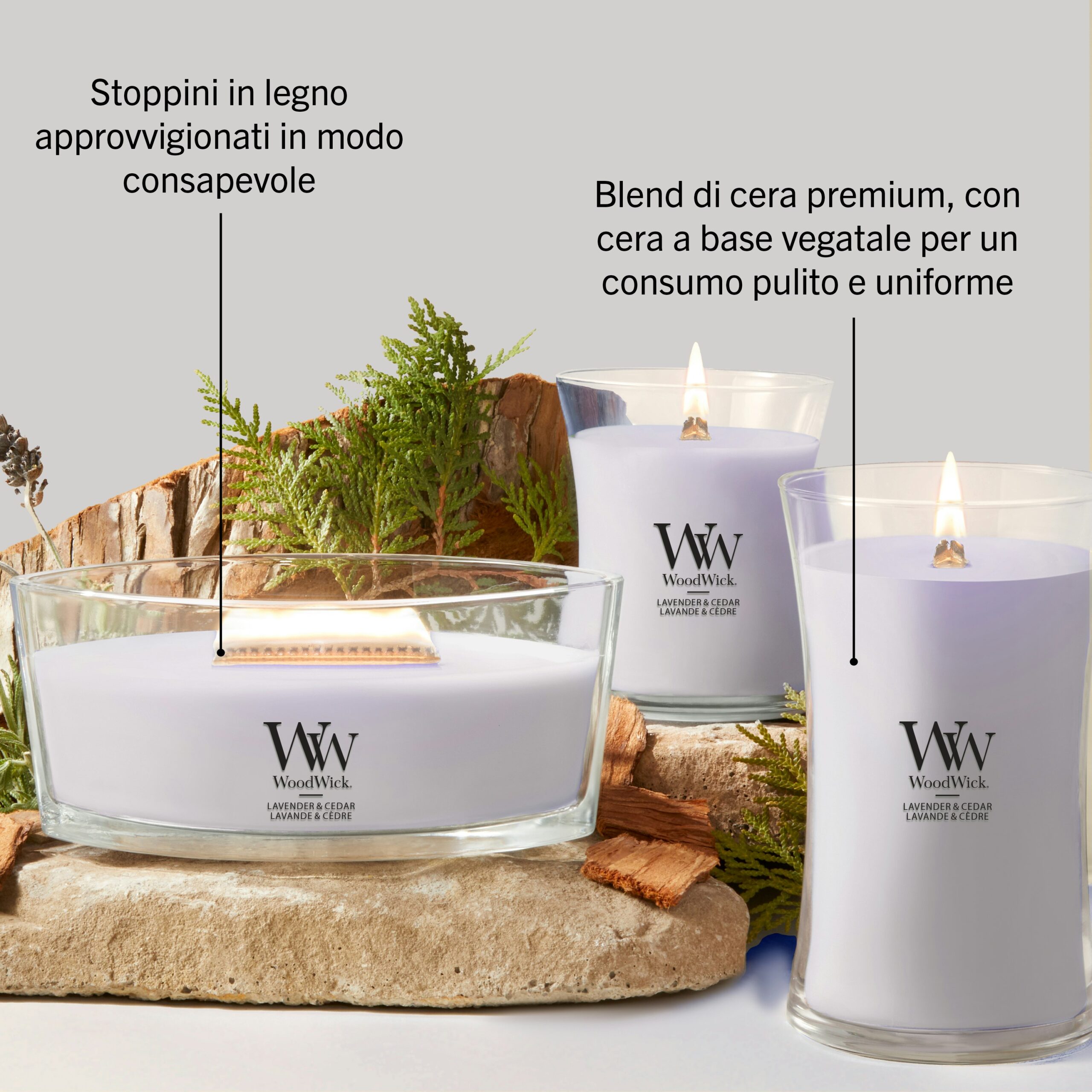 Lavender and Cedar – Candela Piccola – Woodwick 100 Punti 2 Tre candele "Lavanda e Cedro" - Candela Piccola - Woodwick, in contenitori di vetro trasparente, sono disposte insieme a foglie verdi. Il testo sottolinea i loro stoppini ecologici in legno e una miscela di cera di alta qualità che garantisce una combustione pulita e uniforme, diffondendo nell'aria delicate note di lavanda e cedro. Lo sfondo è neutro.