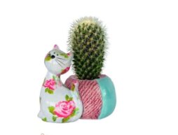 Un vaso Porta Piantina Cat Caramel - Pomme pidou contiene un piccolo cactus e si trova accanto a una statuetta di gatto in ceramica con motivi di rose rosa, entrambi esposti su uno sfondo bianco.