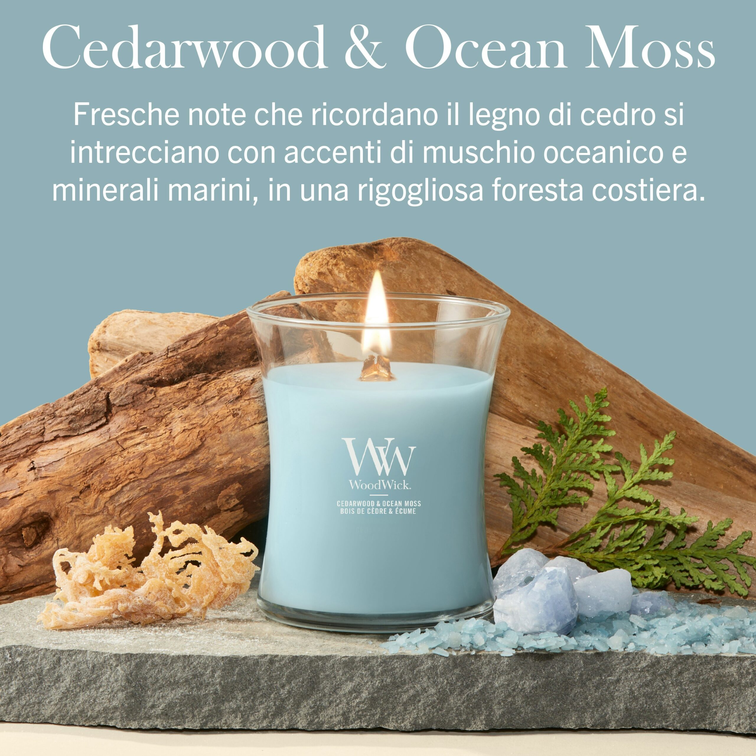 Cedarwood & Ocean Moss – Candela Media – Woodwick Giara media Una candela Woodwick di Candela Media alla fragranza “Cedarwood & Ocean Moss” è collocata in un contenitore di vetro blu appoggiato su delle pietre, accompagnata da felci, corallo e cristalli blu. Il testo sopra ne descrive la fragranza — una miscela di cedro, muschio marino e minerali marini — che evoca l’atmosfera rilassante delle foreste costiere e dell’aria di mare intrisa di salsedine.