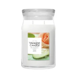 La candela Blooming Love - Candela Grande - Yankee Candle è dotata di due stoppini, cera bianca, coperchio in vetro trasparente ed etichetta con una rosa di pesca e foglie verdi. Questa elegante candela in giara pesa 567 g.