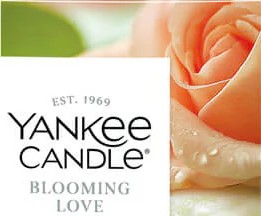 Blooming Love – Candela Piccola – Yankee Candle 100 Punti Primo piano di una rosa rosa tenue con gocce d'acqua, accanto al logo Yankee Candle e al testo "EST. 1969 AMORE IN FIORE.