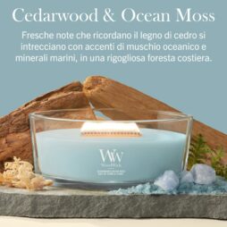 Una candela WoodWick “Cedarwood & Ocean Moss” di colore azzurro, dalla forma ellittica, contenuta in un recipiente di vetro, è adagiata tra legni trasportati dal mare, cristalli e muschio, evocando l’atmosfera di una foresta costiera. Il testo in italiano descrive la fragranza rinfrescante del legno di cedro e del muschio marino.