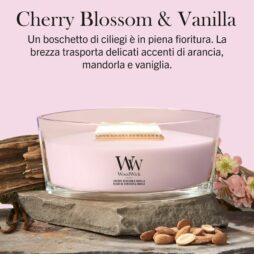 Una candela rosa Woodwick Ellipse con l'etichetta “Cherry Blossom And Vanilla” poggia su una base di pietra, accompagnata da mandorle, fette d'arancia e delicati fiori di ciliegio. Sullo sfondo rosa pallido è riportata una descrizione del prodotto in italiano sopra la candela.