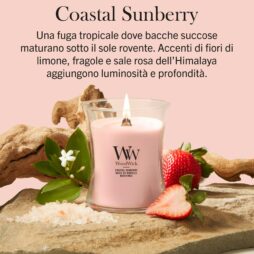 Una candela rosa “Coastal Sunberry” di WoodWick, prodotta da Candela Media, è appoggiata su alcune pietre, circondata da fragole, fiori, fette di limone e sale rosa. Il testo sopra ne sottolinea il profilo olfattivo tropicale, con note floreali, di limone e di fragola.