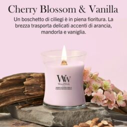 Una candela “Cherry Blossom And Vanilla” - Candela Media - Woodwick, di colore rosa, è posizionata su una lastra di pietra circondata da delicati fiori di ciliegio e baccelli di vaniglia, su uno sfondo rosa chiaro con una scritta in italiano in alto.