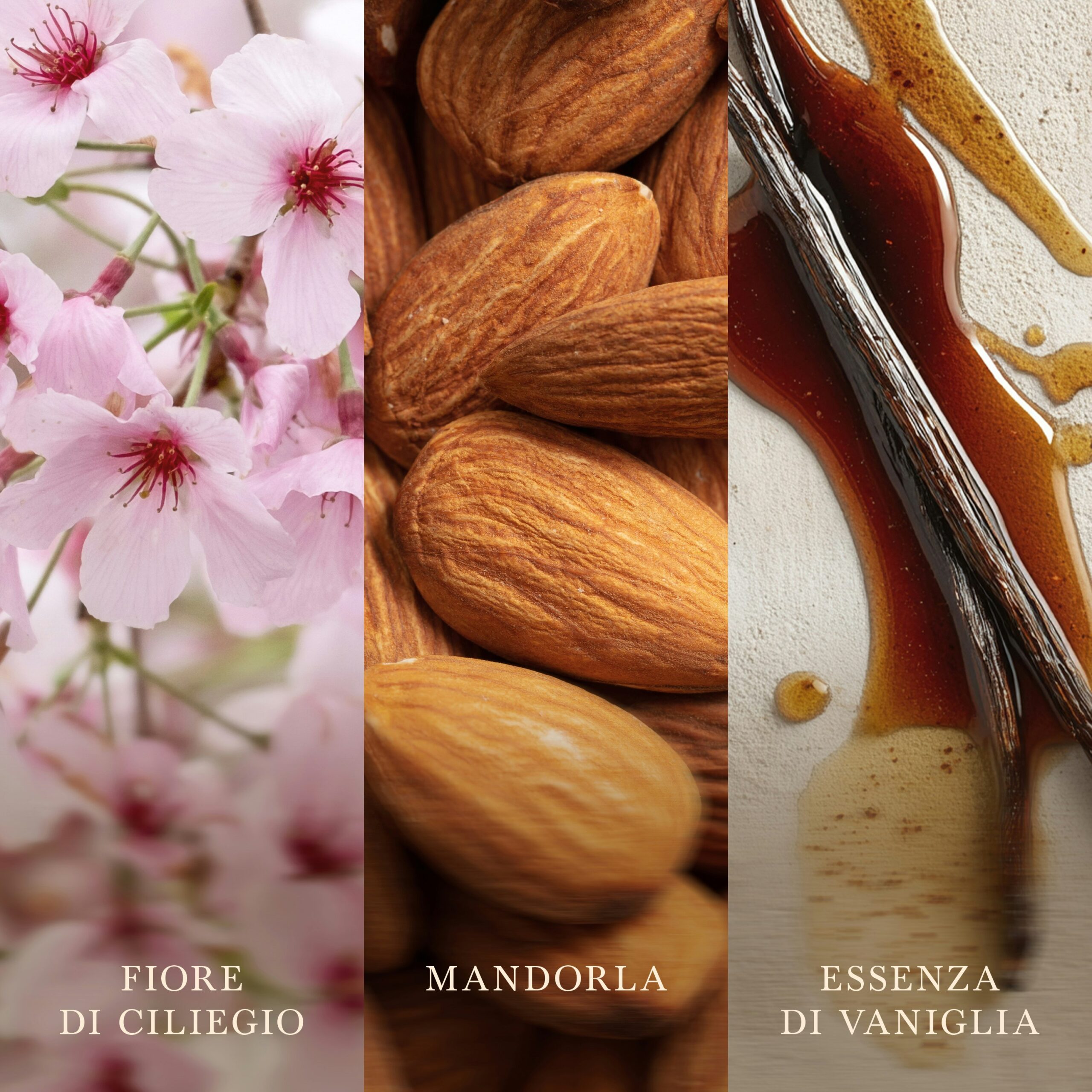 Cherry Blossom And Vanilla – Candela Media – Woodwick 250 Punti 3 Fiore di ciliegio e vaniglia - Candela Media - Woodwick presenta un primo piano di fiori di ciliegio, mandorle e baccelli di vaniglia, impreziositi da essenze. Ogni sezione è etichettata in italiano: “Fiore di ciliegio”, “Mandorla” e “Essenza di vaniglia”. La morbida atmosfera ispirata a Woodwick esalta la delicata fusione di fragranze tra vaniglia e fiori di ciliegio.