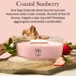 Una candela Coastal Sunberry - Ellipse - Woodwick di colore rosa poggia su una lastra di pietra, circondata da fragole, sale rosa dell’Himalaya e foglie verdi. Il testo in italiano sopra mette in risalto la fragranza Coastal Sunberry, caratterizzata da bacche tropicali, limone, fragole e sale dell’Himalaya.