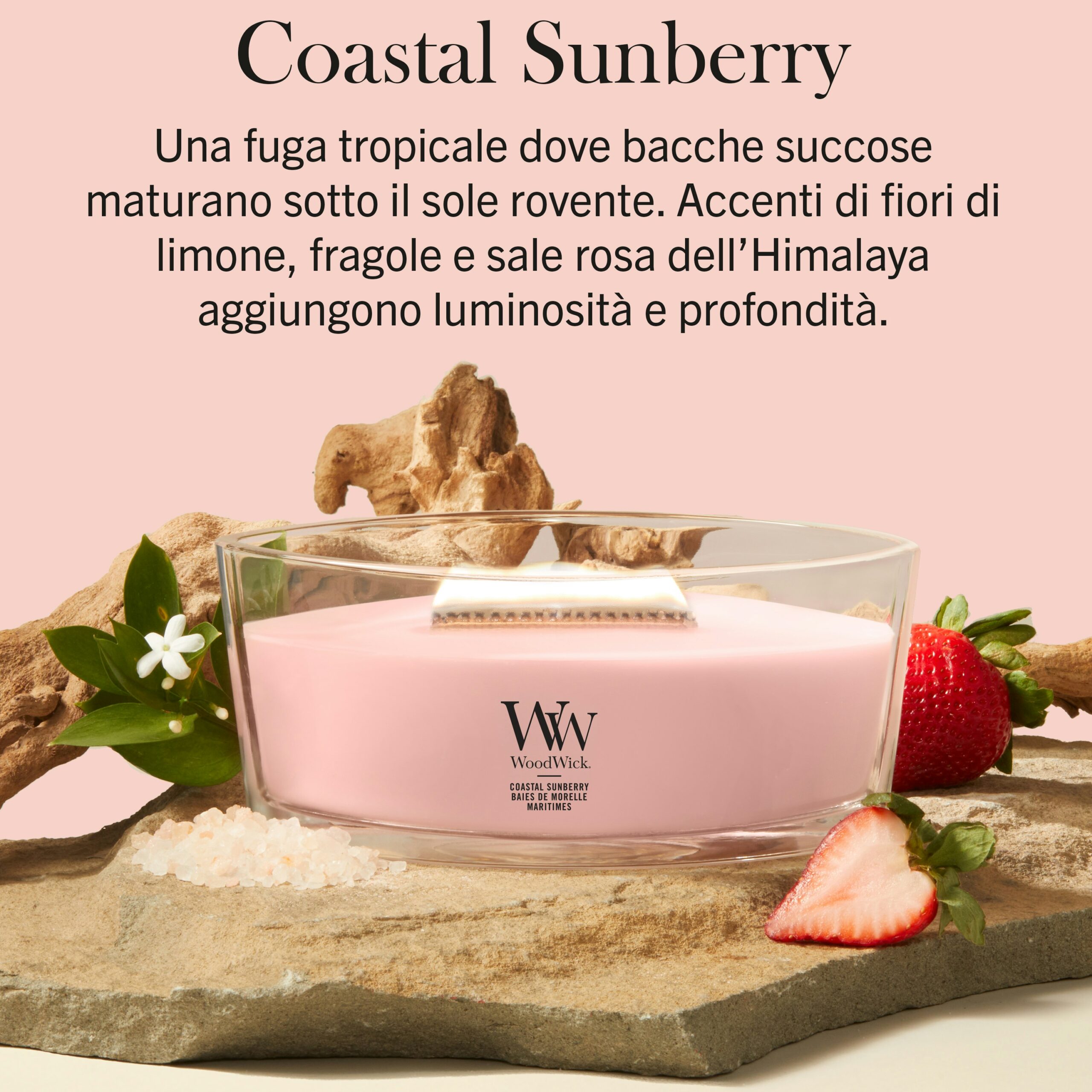 Coastal Sunberry – Ellipse – Woodwick Ellipse Una candela Coastal Sunberry - Ellipse - Woodwick di colore rosa poggia su una lastra di pietra, circondata da fragole, sale rosa dell’Himalaya e foglie verdi. Il testo in italiano sopra mette in risalto la fragranza Coastal Sunberry, caratterizzata da bacche tropicali, limone, fragole e sale dell’Himalaya.