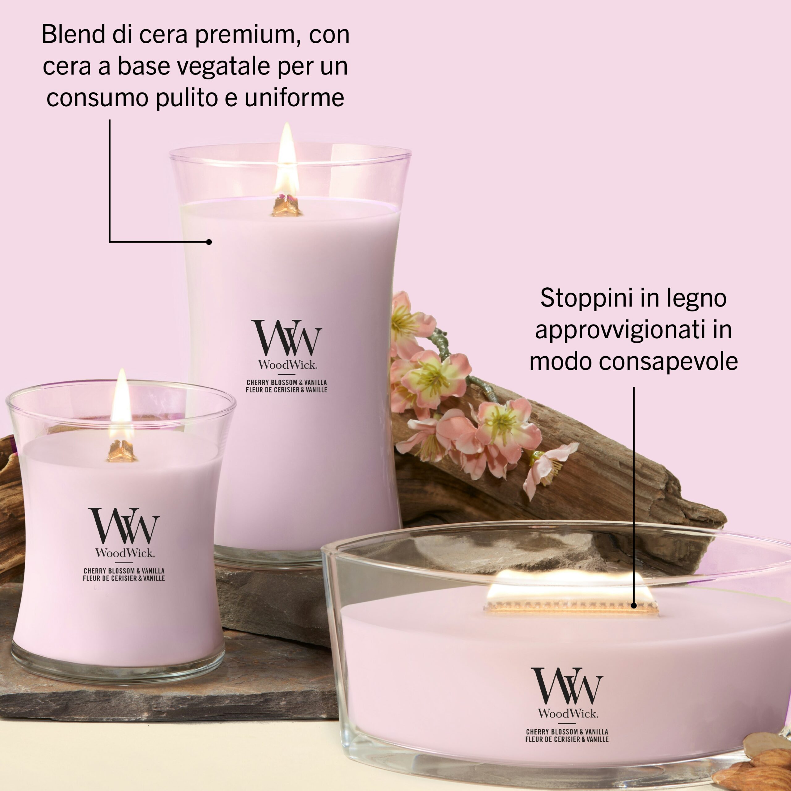 Cherry Blossom And Vanilla – Candela Media – Woodwick 250 Punti 4 Tre fiori di ciliegio e vaniglia“ - Candela Media - Le candele WoodWick rosa pastello con stoppini in legno sono esposte accanto a dei fiori. Il testo in italiano sottolinea la loro miscela di cera di origine vegetale, le delicate fragranze di fiori di ciliegio e vaniglia e gli stoppini in legno provenienti da fonti sostenibili.