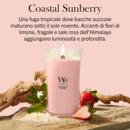 È accesa una candela WoodWick della linea “Coastal Sunberry - Candela Grande” di colore rosa, circondata da una fragola, un fiore, sale dell'Himalaya e legno galleggiante, con una descrizione in italiano delle sue note profumate tropicali e floreali.