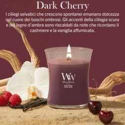 Una candela WoodWick al profumo di ciliegia scura di Candela Media poggia su una superficie beige, accompagnata da frutti succulenti, un’elegante orchidea e dettagli in legno dalla texture particolare. Il testo sopra ne sottolinea la fragranza seducente: una miscela armoniosa di note di ciliegia scura, ambra, cashmere e vaniglia.