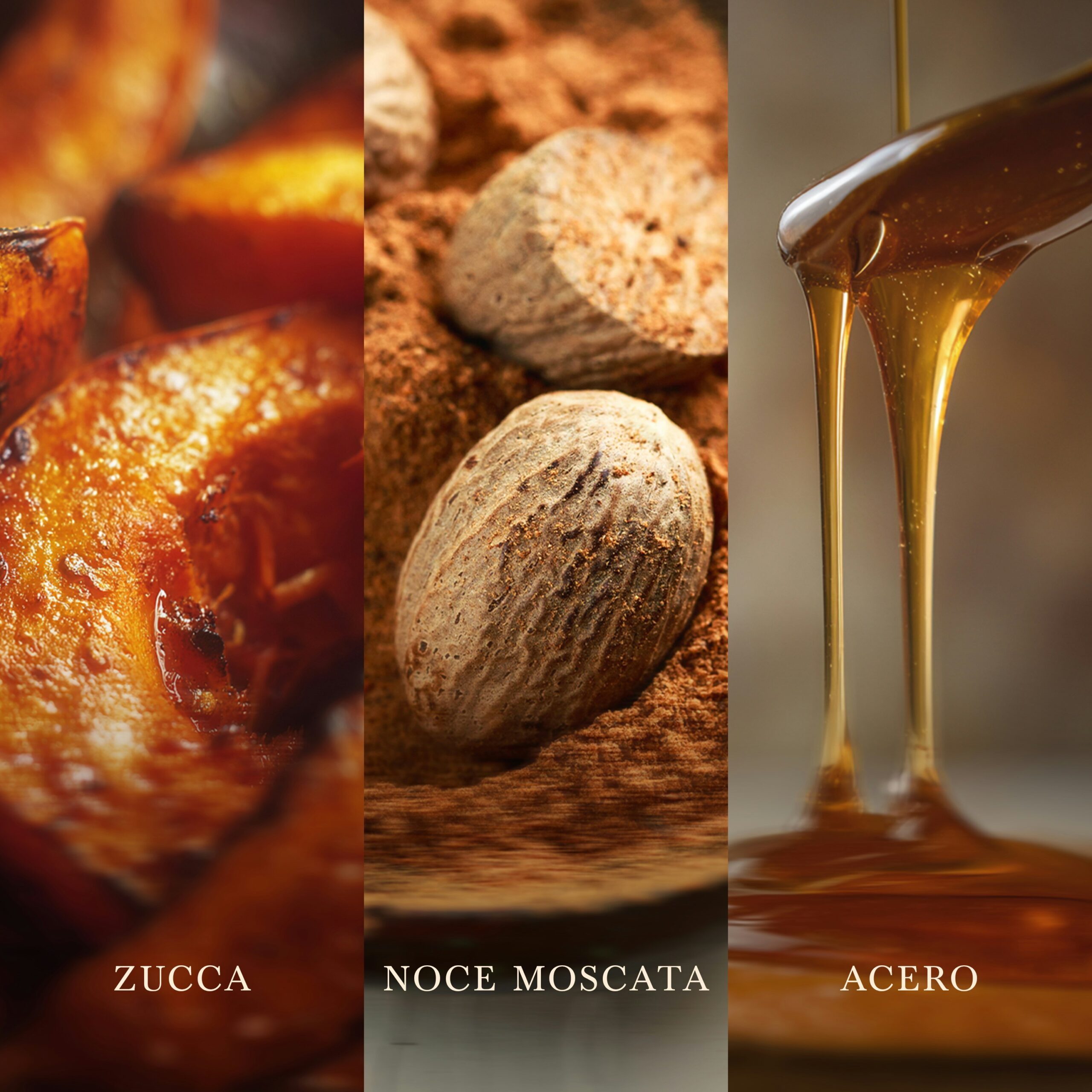 Pumpkin Praline – Candela Grande – Woodwick Giara Grande 4 Un primo piano di fette di zucca arrostite, una noce moscata intera adagiata su polvere di noce moscata e il miele che cola da un cucchiaio evocano l’invitante aroma della candela “Pumpkin Praline - Candela Grande - Woodwick”. Le parole “ZUCCA”, “NOCE MOSCATA” e “ACERO” contrassegnano ciascuna sezione. Tonalità calde, ispirate all’autunno, pervadono la scena, evocando serate accoglienti trascorse accanto a una candela Woodwick che crepita.