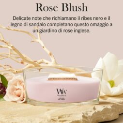 Una candela “A Rose Blush” della linea Ellipse WoodWick, contenuta in un contenitore di vetro trasparente di forma ellittica, poggia su una superficie beige, con legni trasportati dal mare e fiori bianchi sullo sfondo. Un testo in italiano ne evidenzia le note olfattive.