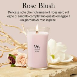 A Rose Blush - Candela Grande - WoodWick arde accanto a una rosa pallida, una magnolia bianca, piccole bacche e rametti di legno su uno sfondo beige. Il testo in italiano descrive la fragranza Rose Blush con note di ribes nero e legno di sandalo.