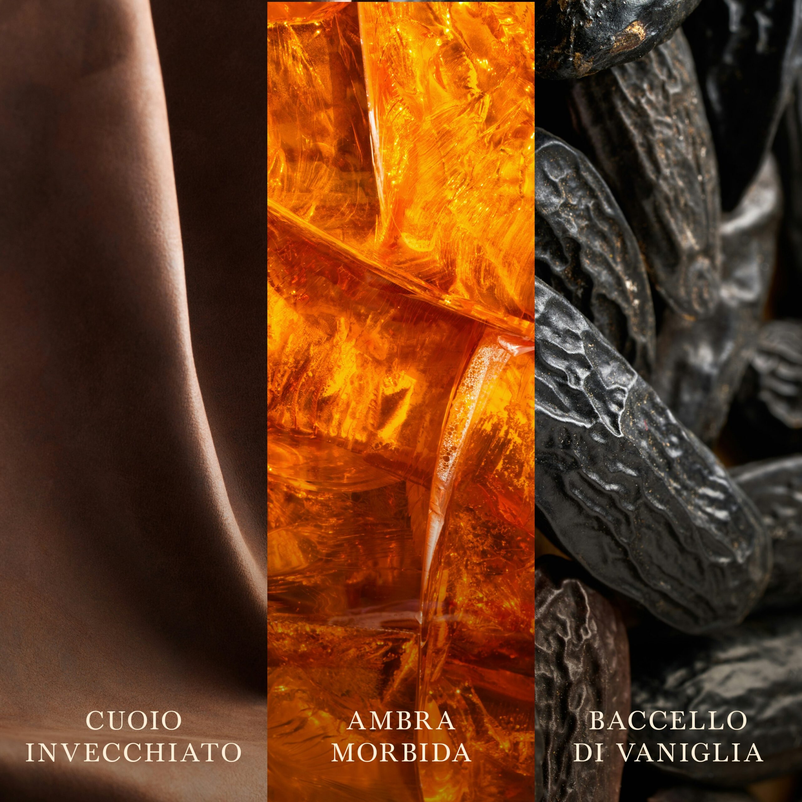 Saffron Smoke – Candela Media – Woodwick Giara media 4 Pelle morbida di colore marrone invecchiata, resina color ambra dorata e baccelli di vaniglia scuri e rugosi sono esposti uno accanto all’altro, con le etichette in italiano “Cuoio Invecchiato”, “Ambra Morbida” e “Baccello di Vaniglia”. L’atmosfera accogliente è ulteriormente esaltata da un delicato velo di Saffron Smoke, che evoca la fragranza invitante della candela Saffron Smoke Woodwick Candela Media che pervade la stanza.