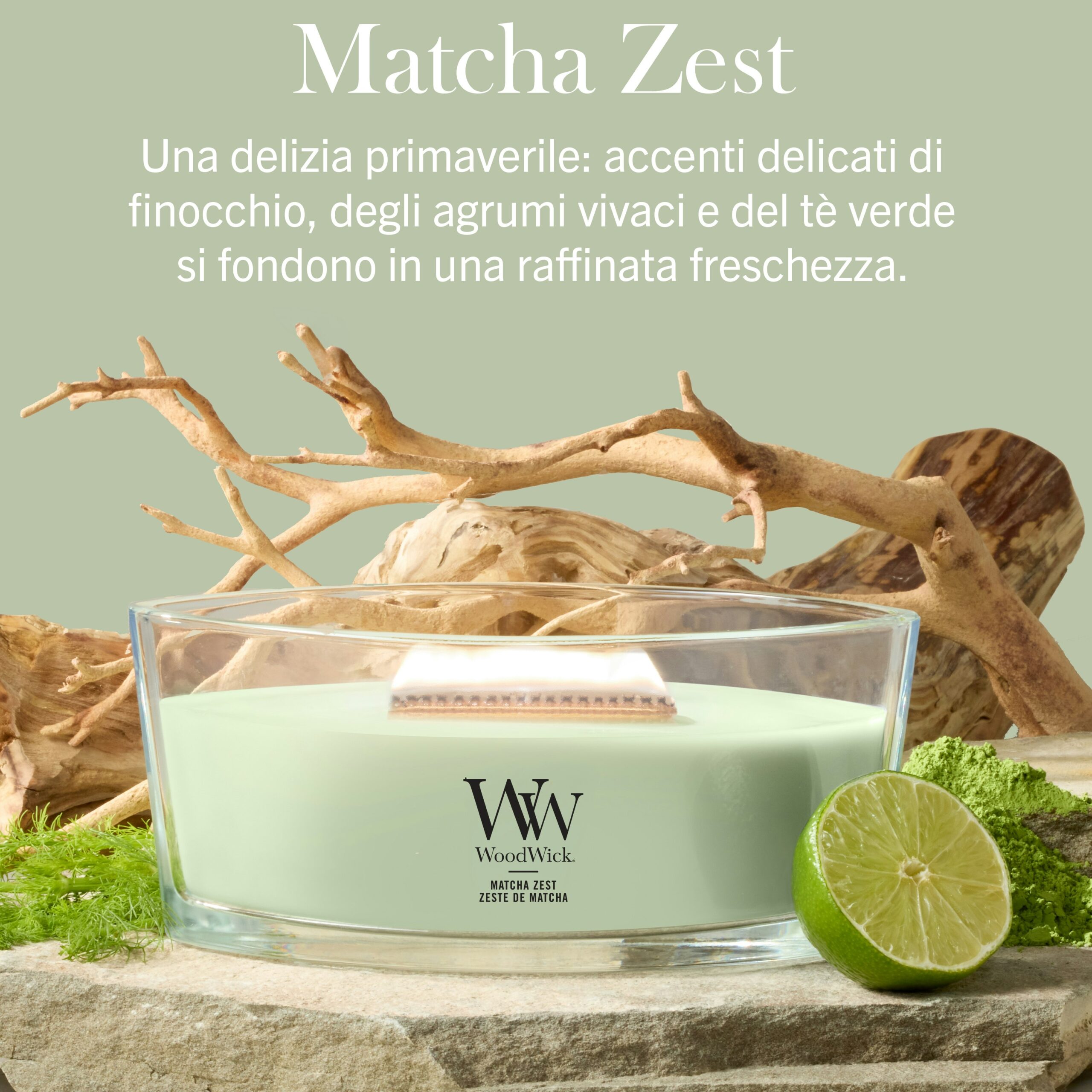 Matcha-Zest – Ellipse – Woodwick Ellipse Una candela Woodwick Matcha-Zest - Ellipse di colore verde poggia su una superficie accanto a del finocchio, un lime tagliato e sottili ramoscelli di legno; la sua caratteristica forma ellittica incornicia con eleganza la scena, mentre un testo in italiano ne sottolinea la fragranza fresca e primaverile.