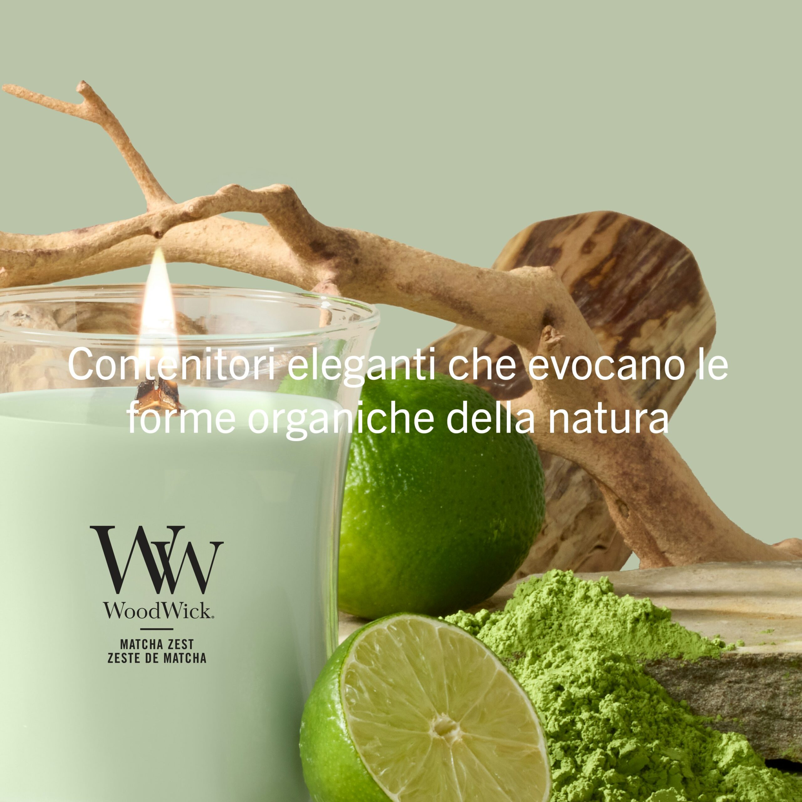 Matcha-Zest Candela Media – Woodwick Giara media 5 Una candela verde Matcha-Zest Candela Media di WoodWick, insieme a lime, polvere di matcha e legno galleggiante, è disposta con gusto su uno sfondo verde chiaro su cui spicca un testo in italiano dedicato a eleganti contenitori ispirati alla natura. L’atmosfera rilassante è esaltata dalla rinfrescante fragranza Matcha-Zest della candela WoodWick, che fonde armoniosamente elementi naturali e stile contemporaneo.