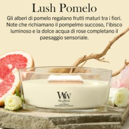 La candela “Lush Pomelo - Ellipse” di WoodWick è appoggiata su una superficie beige, accompagnata da una fetta di pompelmo, foglie verdi e fiori bianchi. Lo sfondo è di colore giallo chiaro e in alto è riportata una descrizione del prodotto in italiano.
