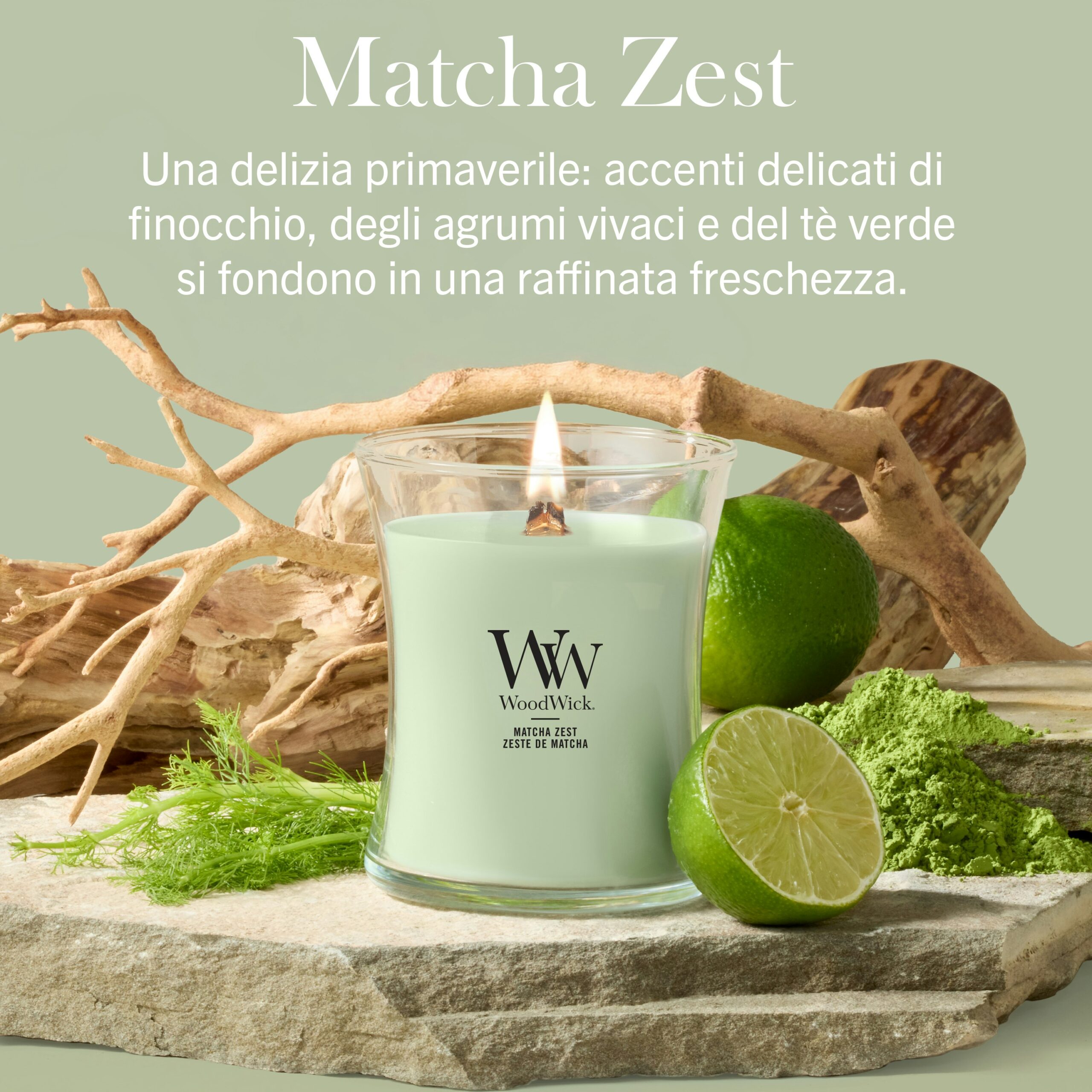 Matcha-Zest Candela Media – Woodwick Giara media Una candela Matcha-Zest Candela Media - Woodwick di colore verde è accesa e posizionata su una pietra accanto a finocchio, lime fresco, fette di lime e pezzi di legno galleggiante; un testo in italiano su sfondo verde chiaro mette in risalto la fragranza rivitalizzante della candela.