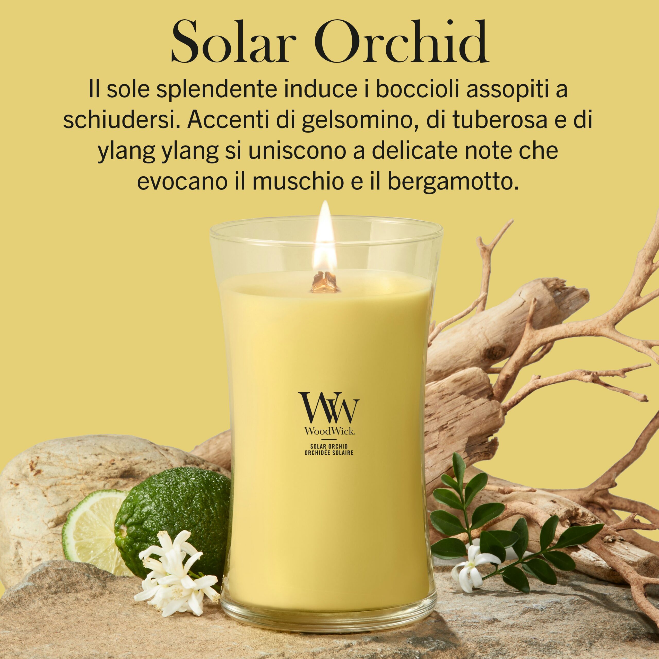 Solar Orchid – Candela Grande – WoodWick Giara Grande Un’orchidea solare - Candela Grande - WoodWick di colore giallo poggia su una superficie beige accanto a pezzi di legno, un frutto di bergamotto e foglie verdi, il tutto disposto su uno sfondo giallo coordinato, impreziosito da una didascalia in italiano che ne descrive la fragranza.
